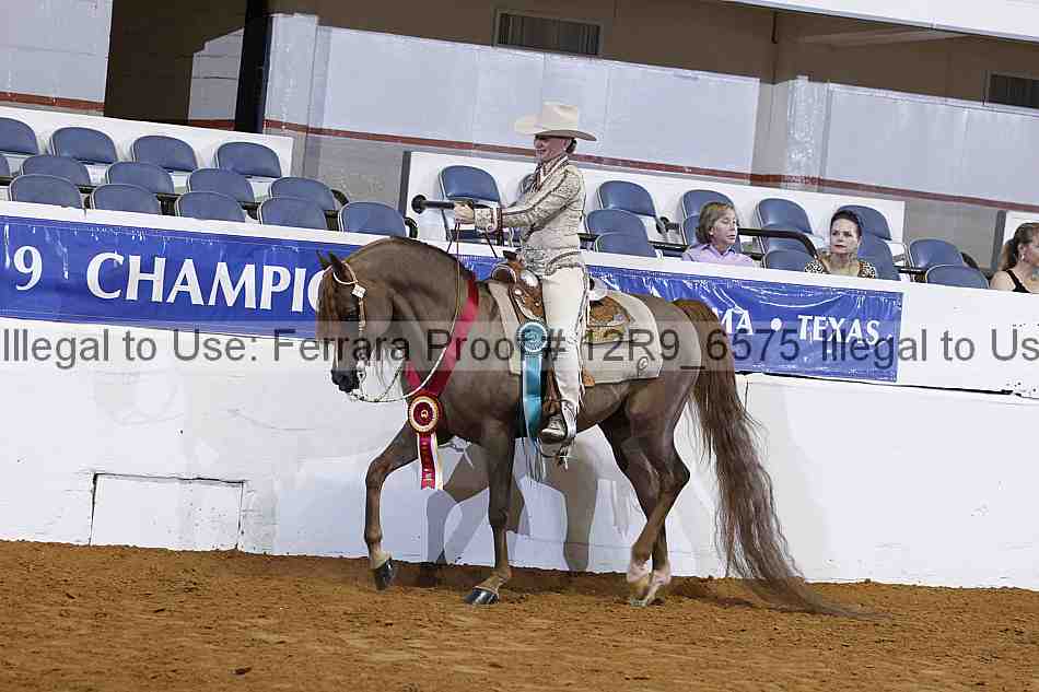 Proof 12r9_6575