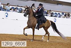 12r9_6606 proof