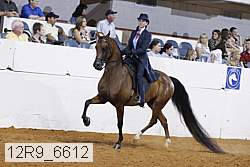 12r9_6612 proof