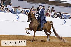 12r9_6617 proof
