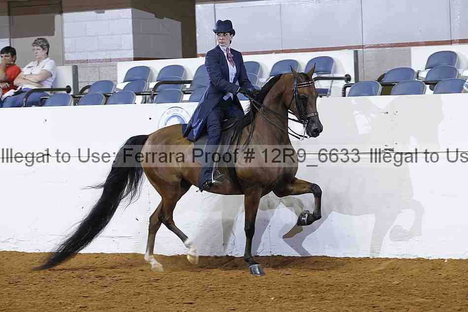 Proof 12r9_6633
