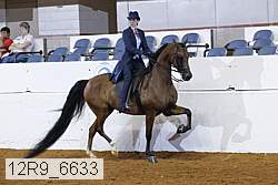 12r9_6633 proof