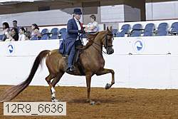 12r9_6636 proof