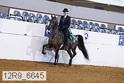 12r9_6645 proof