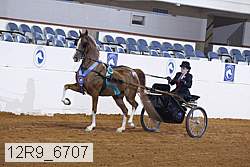 12r9_6707 proof