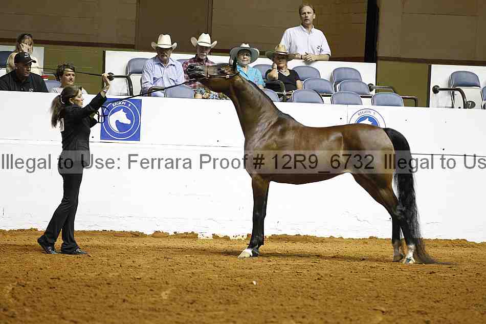 Proof 12r9_6732