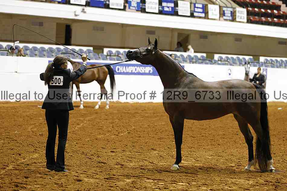 Proof 12r9_6733