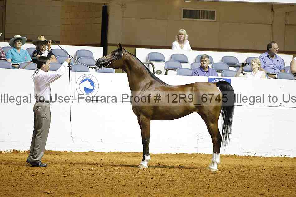 Proof 12r9_6745