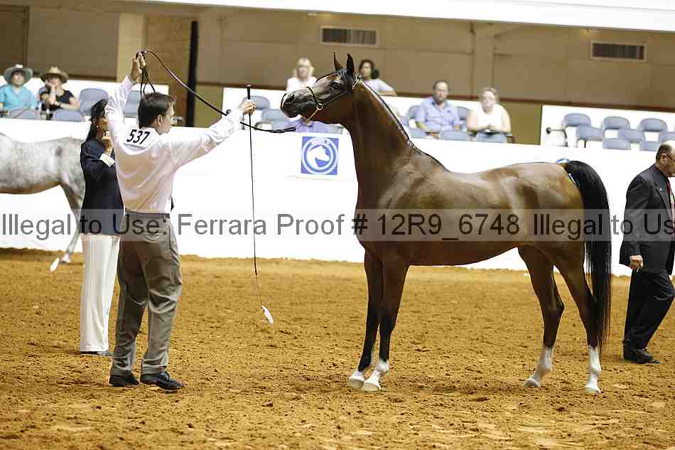 Proof 12r9_6748