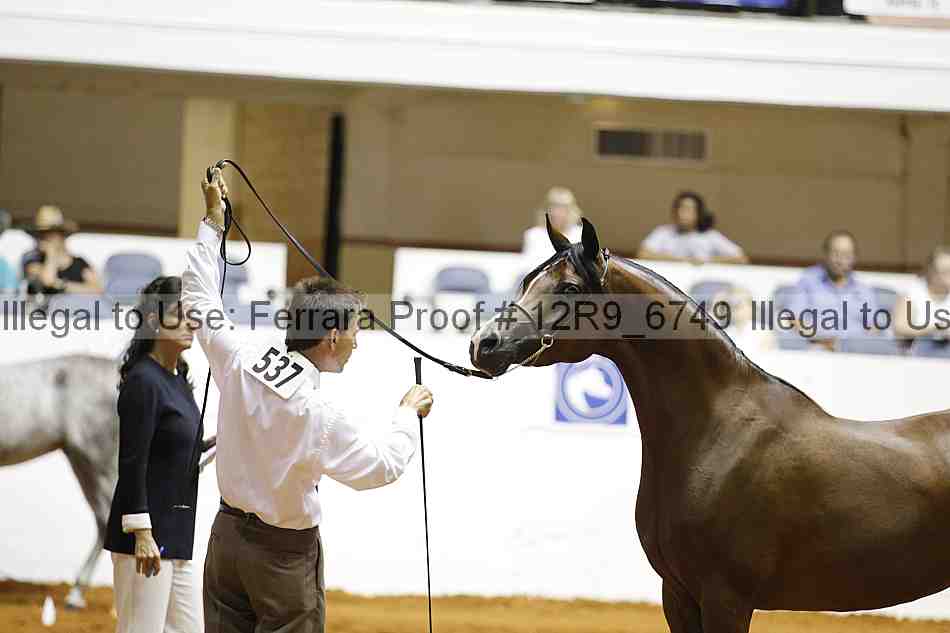 Proof 12r9_6749
