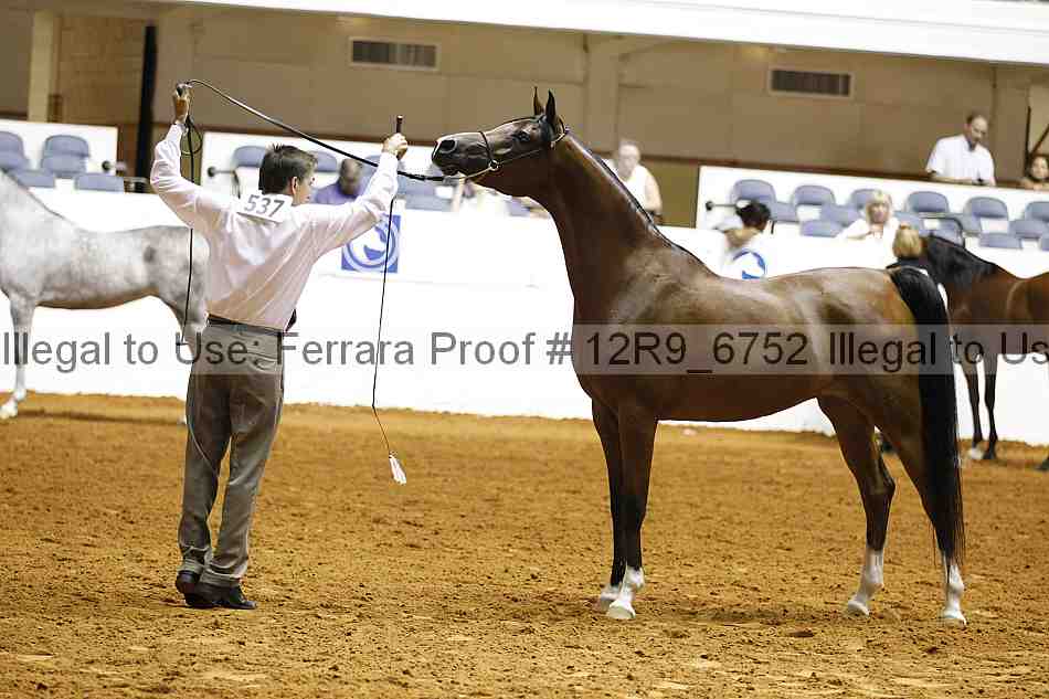 Proof 12r9_6752