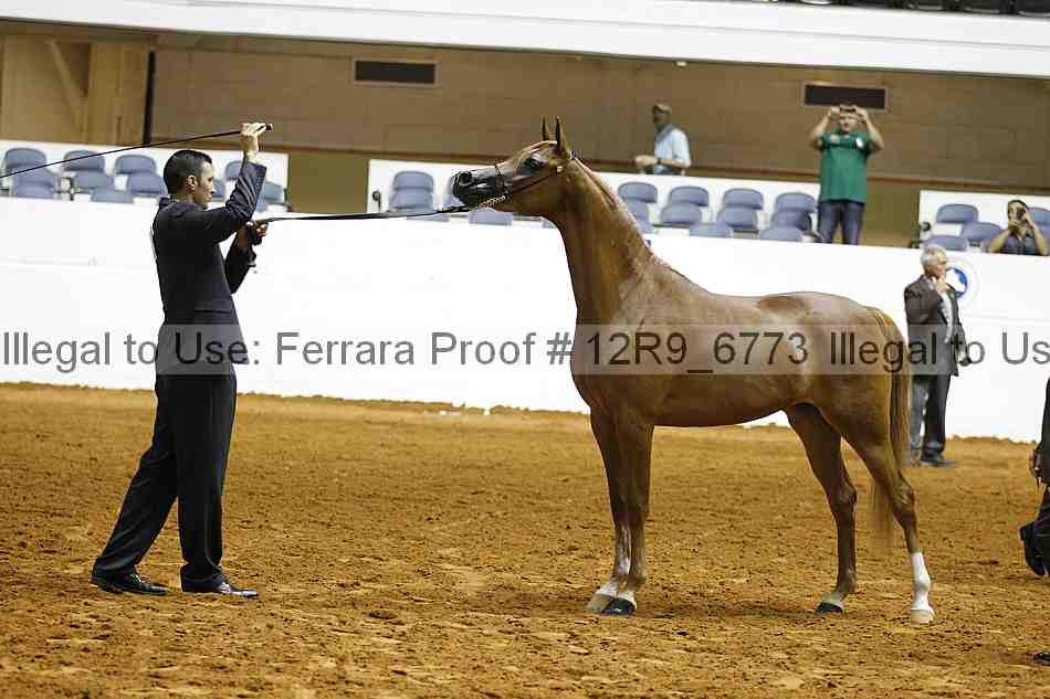 Proof 12r9_6773