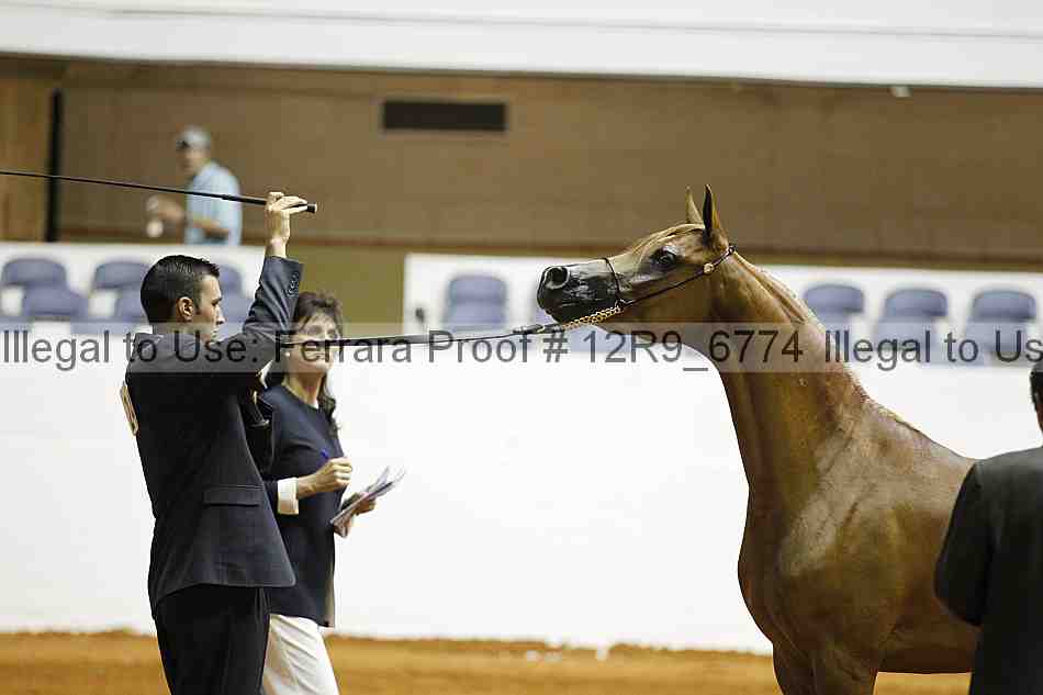 Proof 12r9_6774