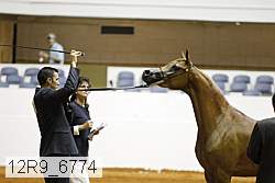 12r9_6774 proof