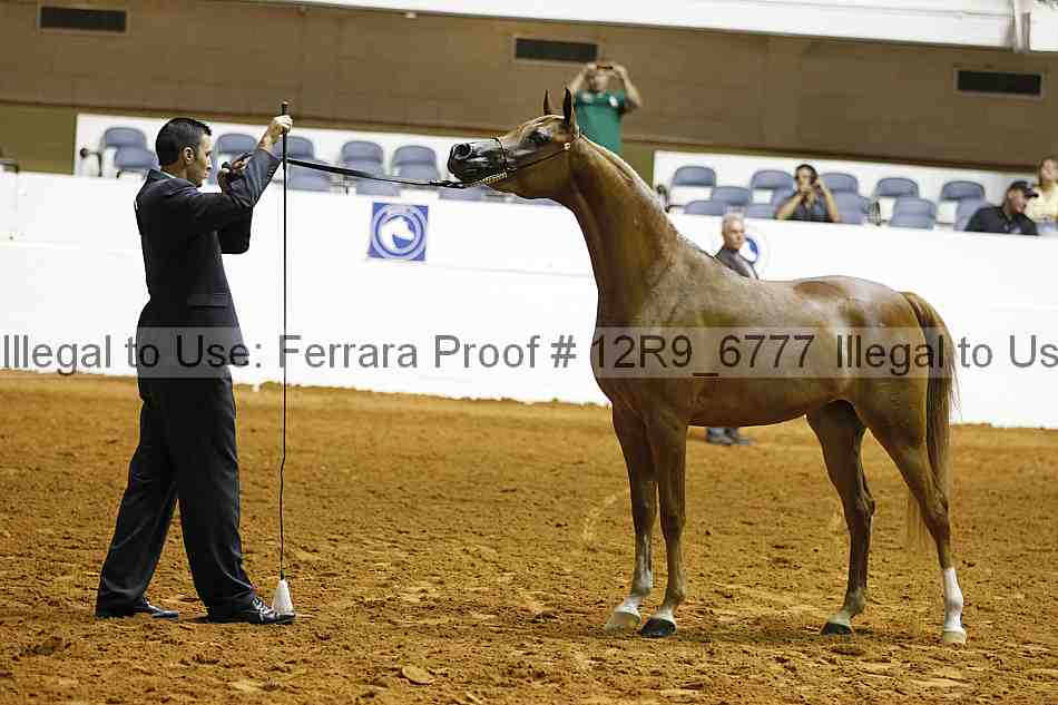 Proof 12r9_6777