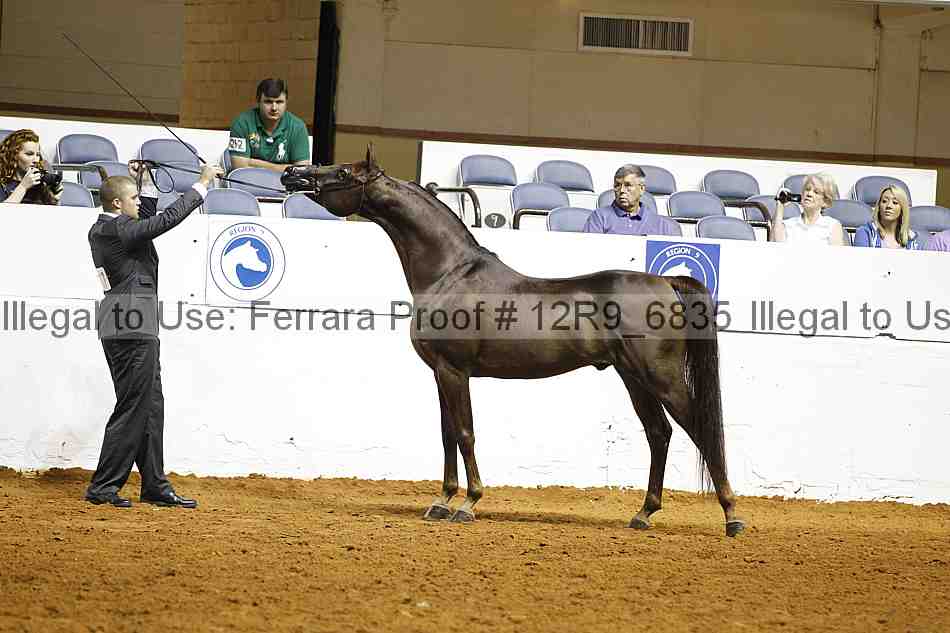 Proof 12r9_6835