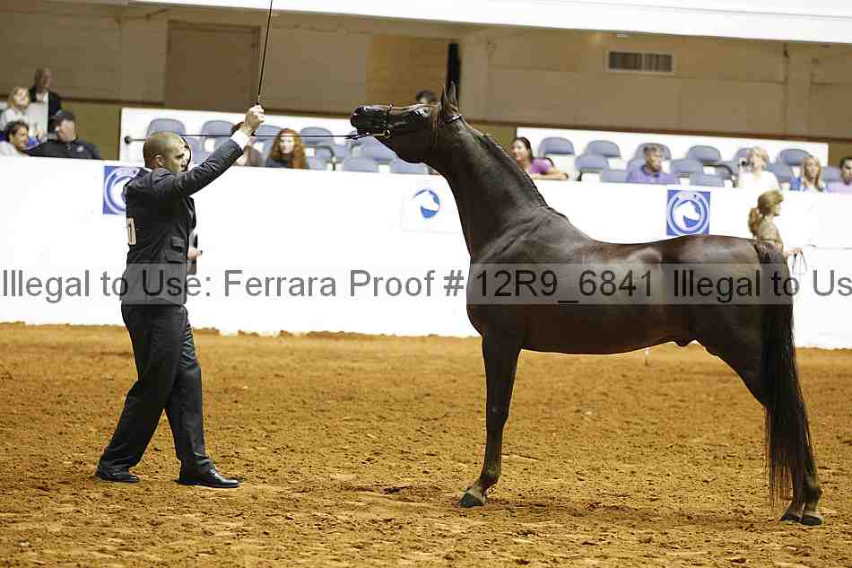 Proof 12r9_6841