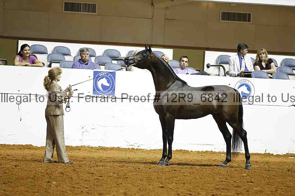 Proof 12r9_6842