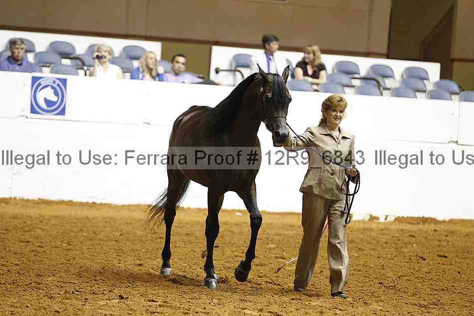Proof 12r9_6843