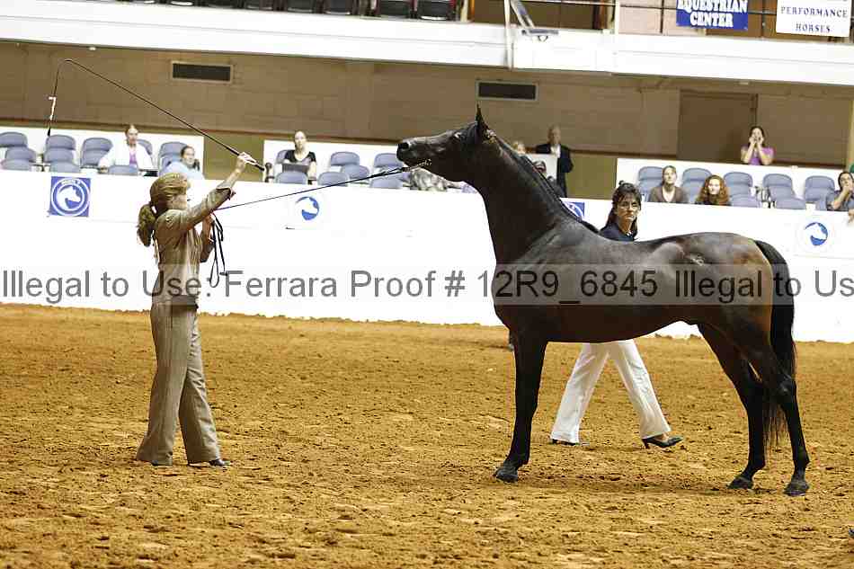 Proof 12r9_6845