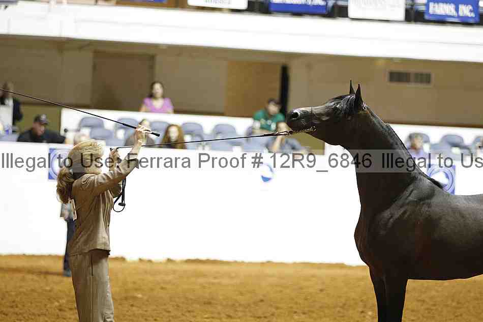 Proof 12r9_6846