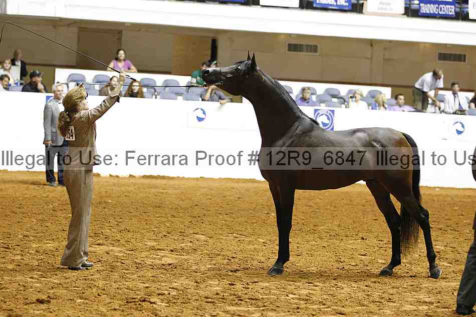 Proof 12r9_6847