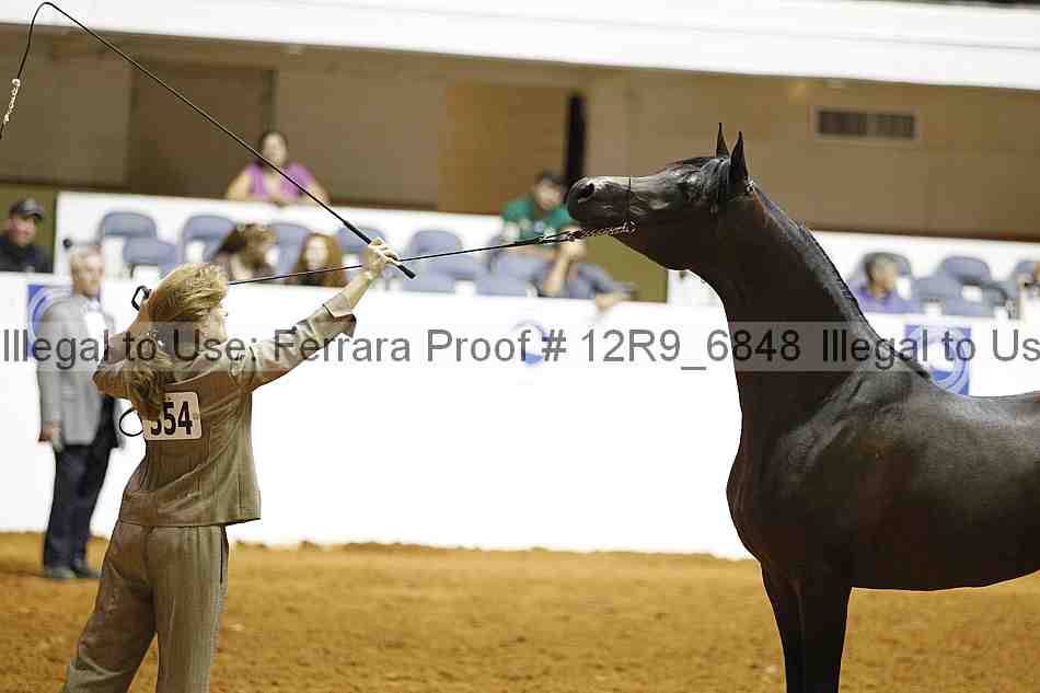 Proof 12r9_6848
