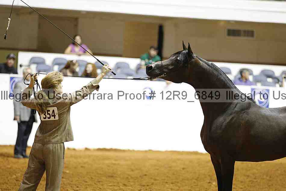 Proof 12r9_6849