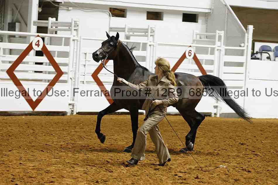 Proof 12r9_6852