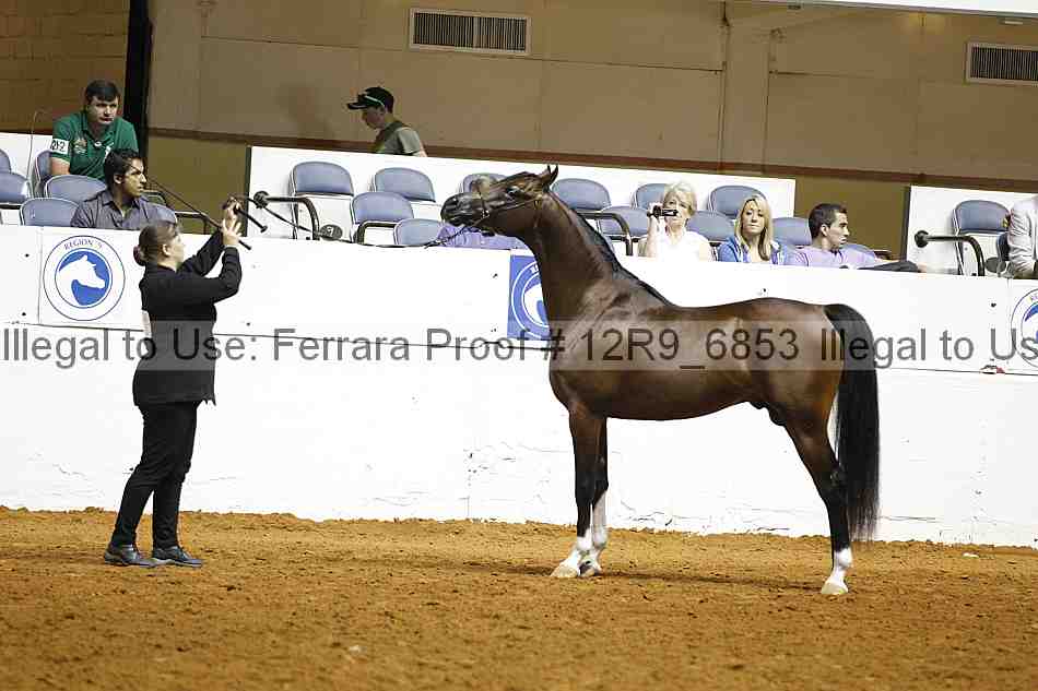 Proof 12r9_6853