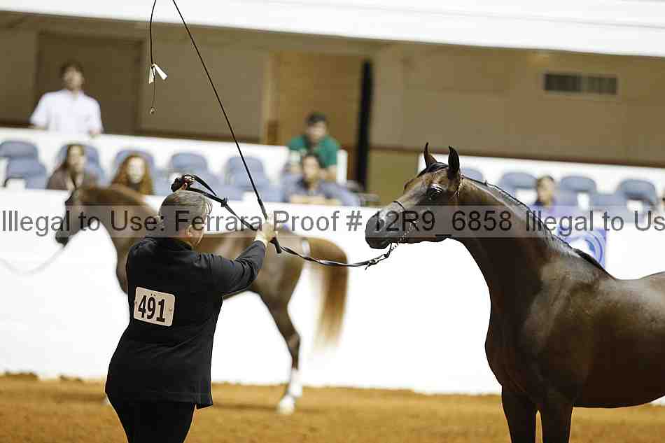 Proof 12r9_6858