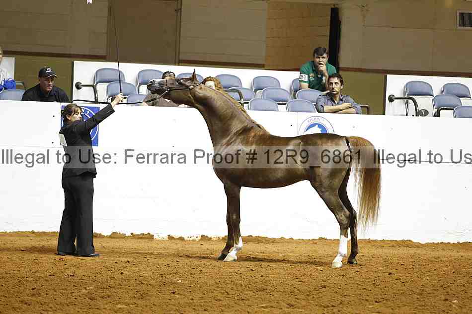 Proof 12r9_6861