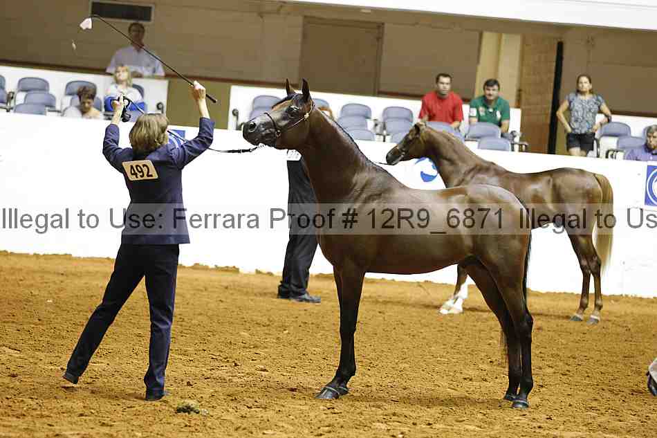 Proof 12r9_6871