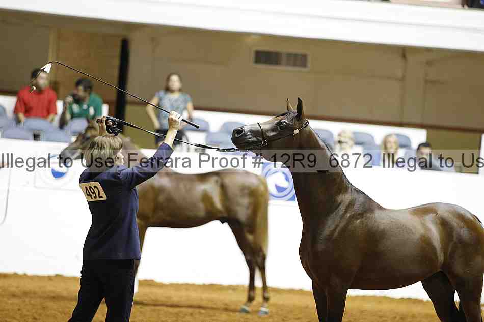 Proof 12r9_6872