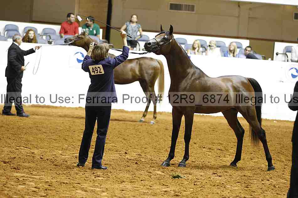 Proof 12r9_6874