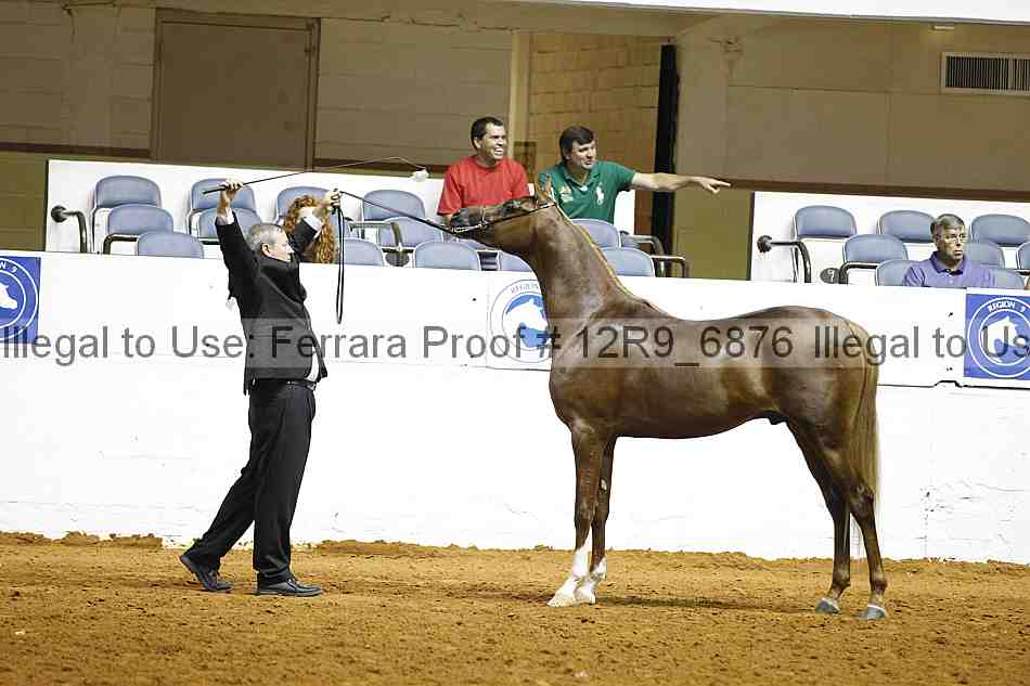 Proof 12r9_6876