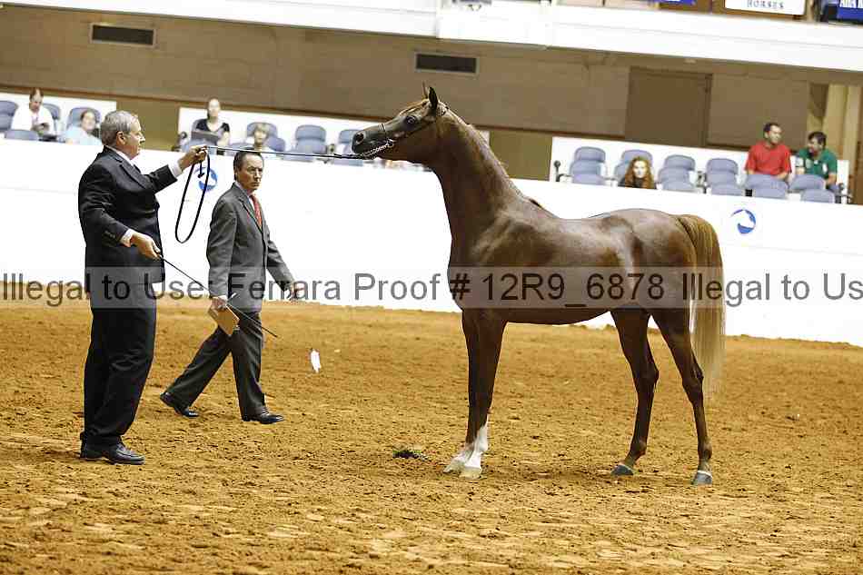 Proof 12r9_6878