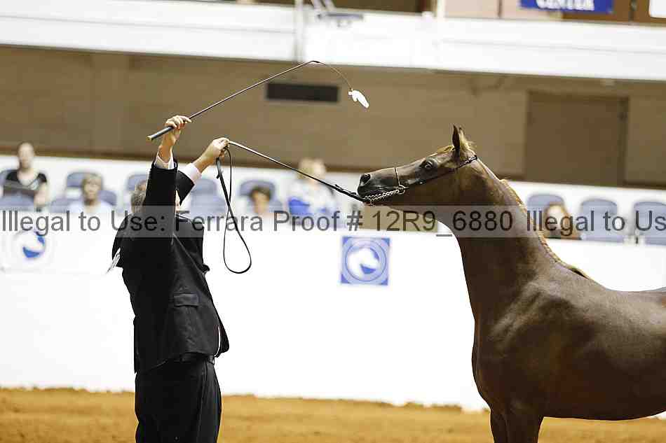 Proof 12r9_6880