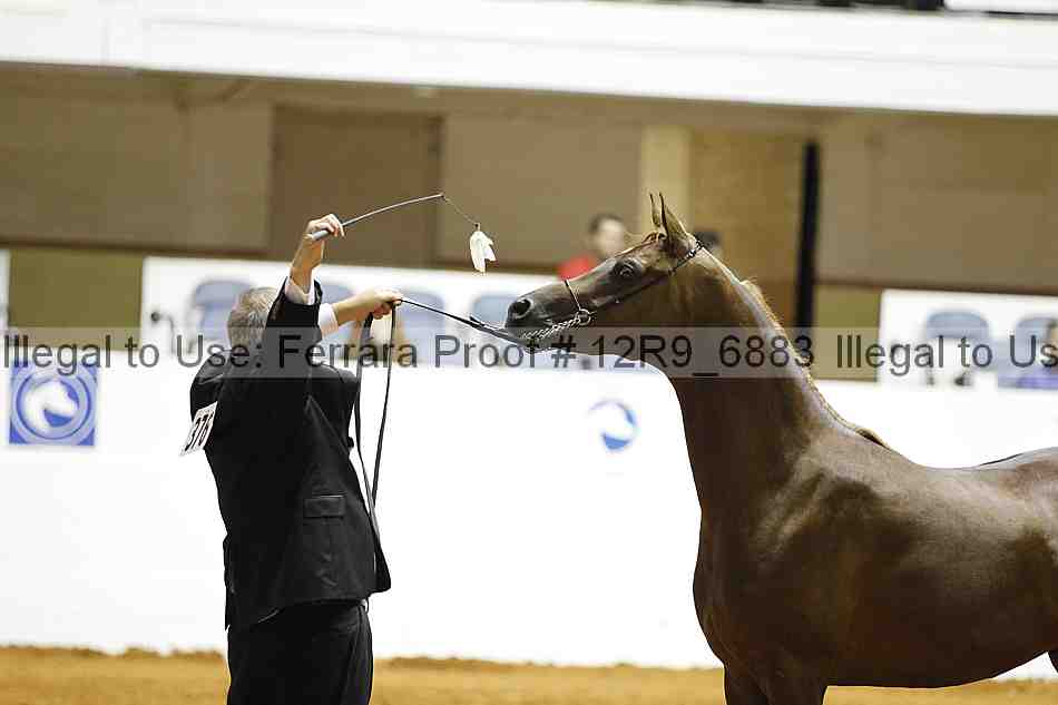 Proof 12r9_6883