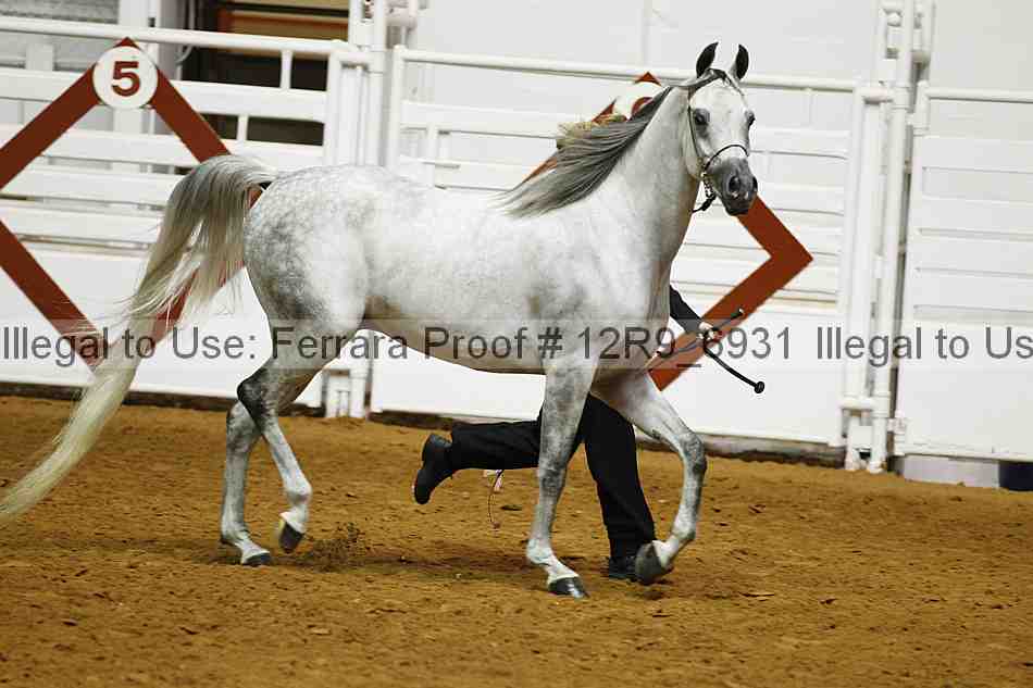 Proof 12r9_6931