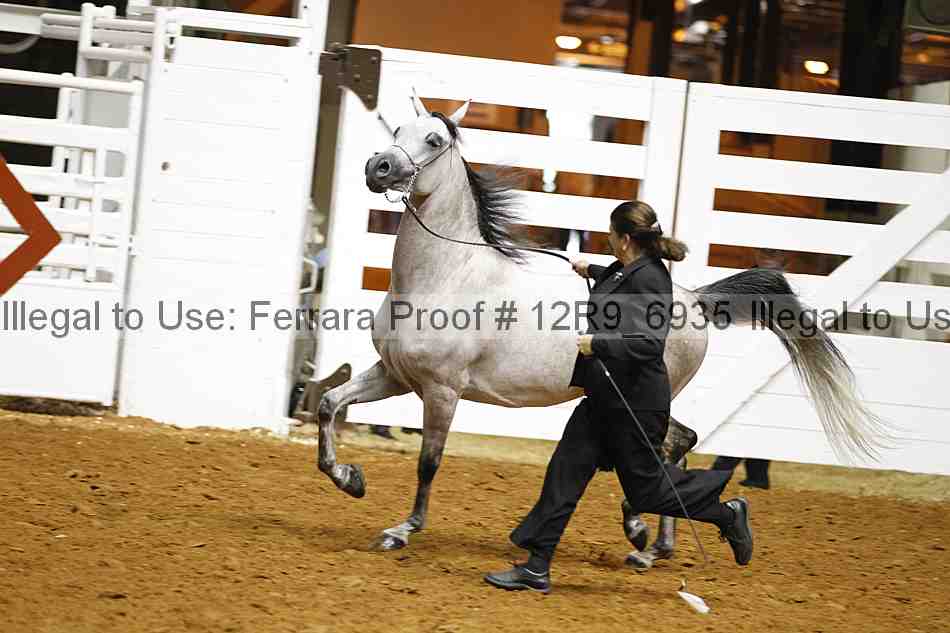 Proof 12r9_6935
