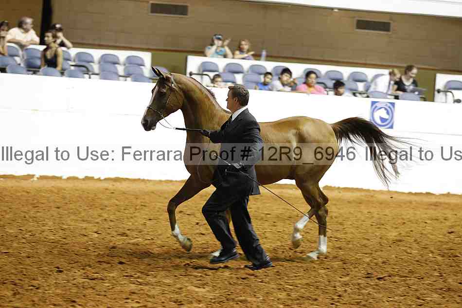 Proof 12r9_6946