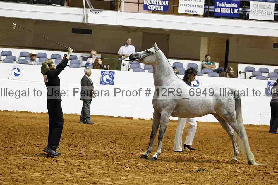 Proof 12r9_6949