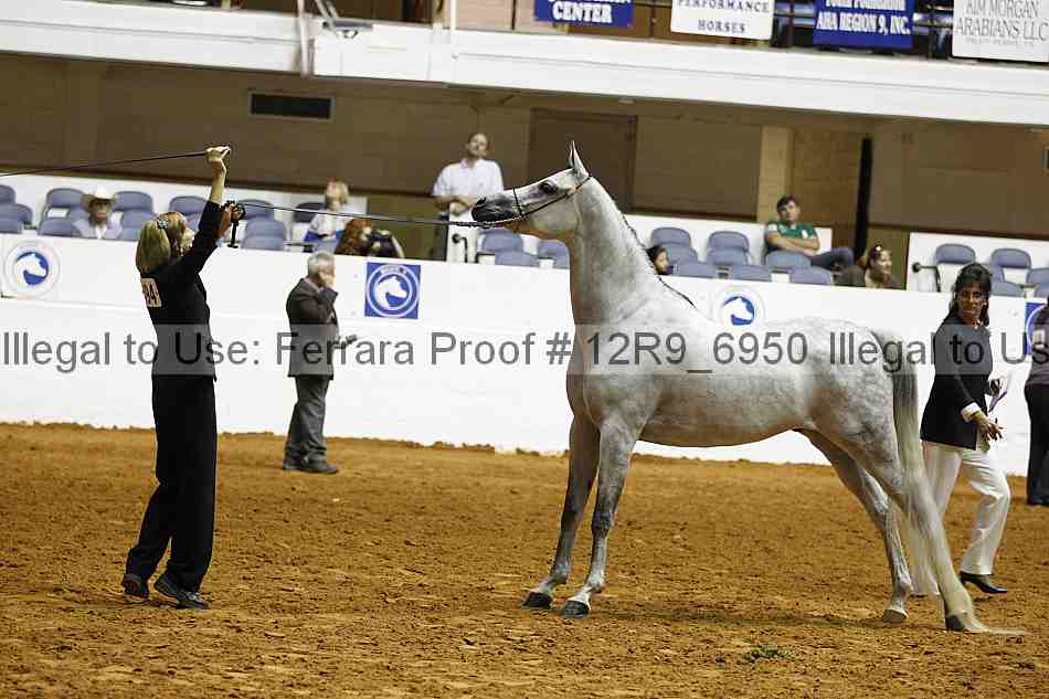 Proof 12r9_6950