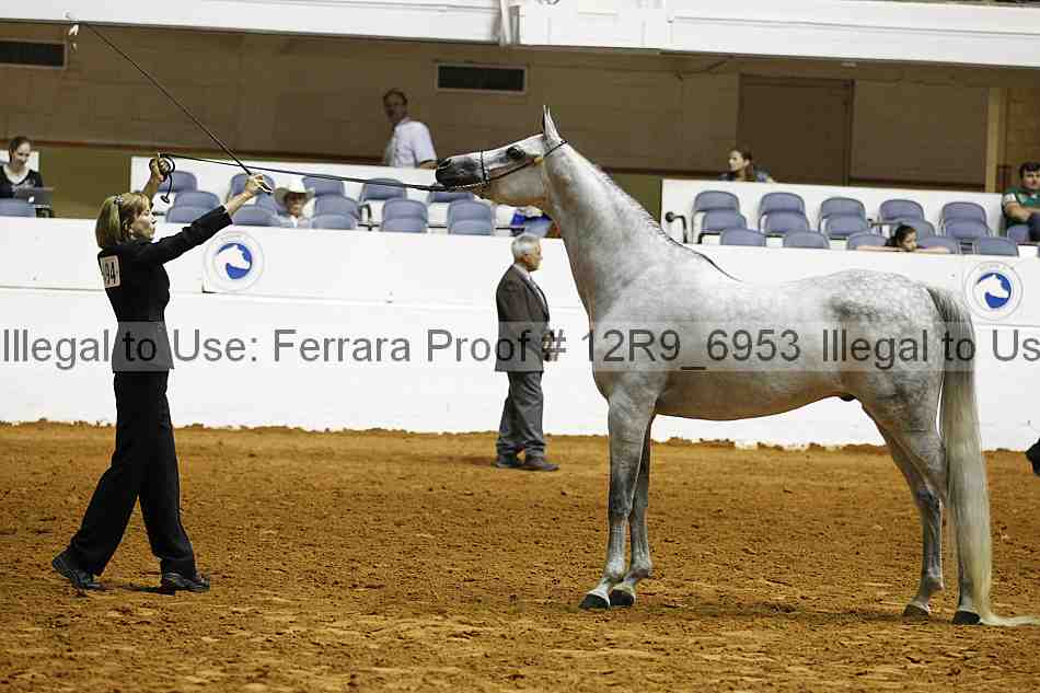 Proof 12r9_6953