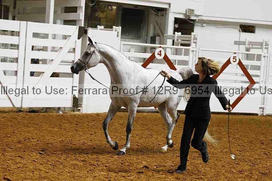 Proof 12r9_6954