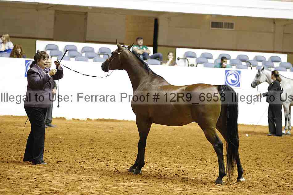 Proof 12r9_6958