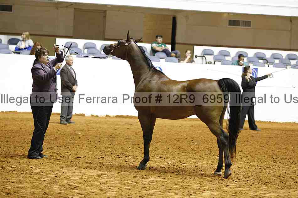 Proof 12r9_6959