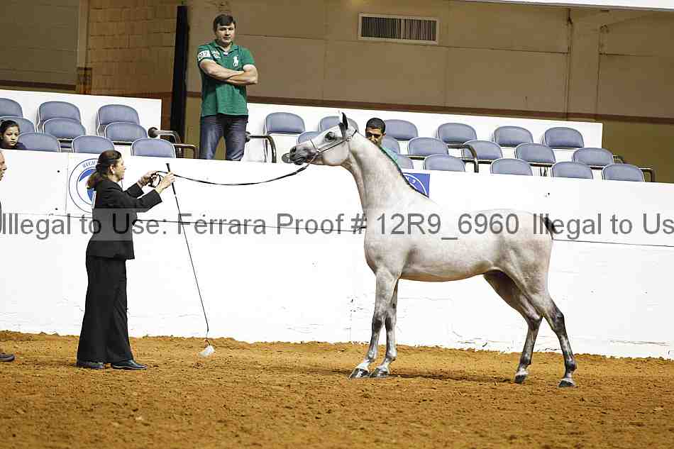 Proof 12r9_6960