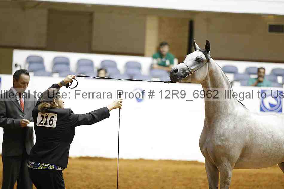 Proof 12r9_6962